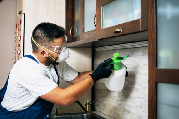 Best Insect Control  in Old Brookville, NY