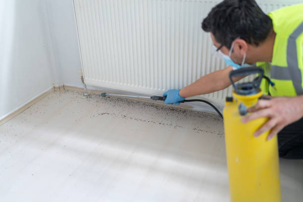 Best Affordable Pest Control Services  in Old Brookville, NY